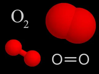 The Environmental Role of Õygen