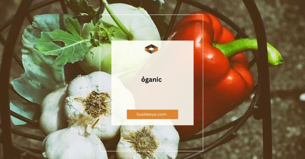 Understanding ỏganic: A Comprehensive Guide to Organic Living