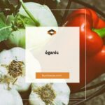 Understanding ỏganic: A Comprehensive Guide to Organic Living