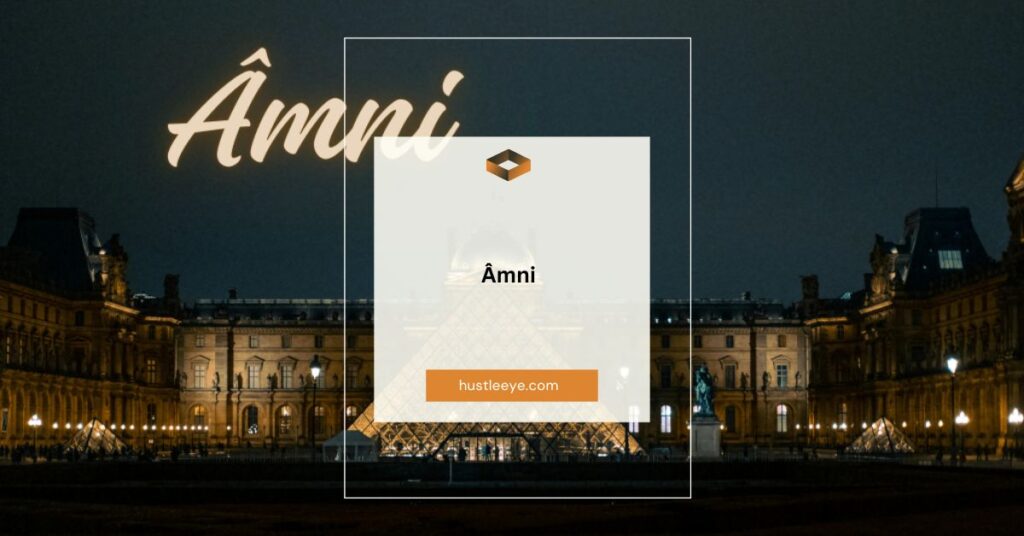 Âmni: Revolutionizing Digital Innovation in the USA