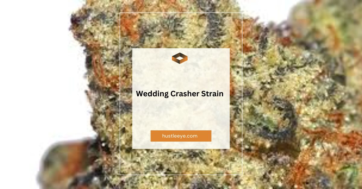 Wedding Crasher Strain: A Comprehensive Guide