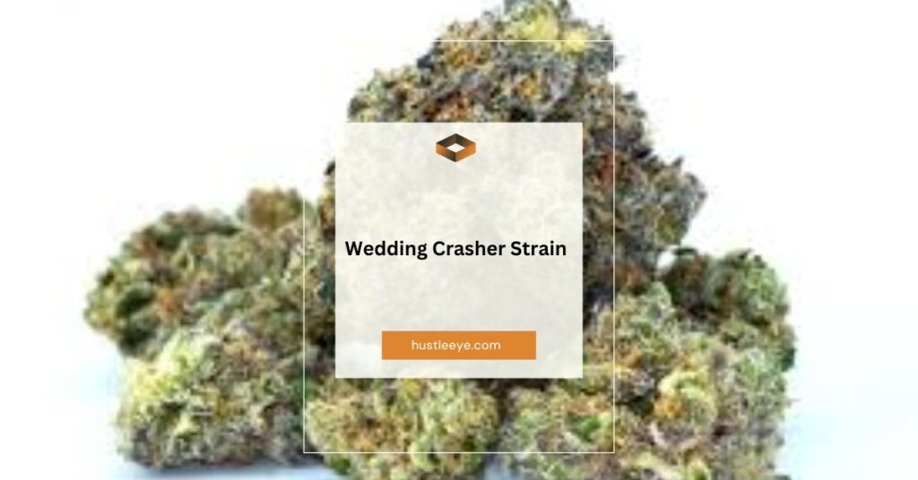 Wedding Crasher Strain: A Complete Guide